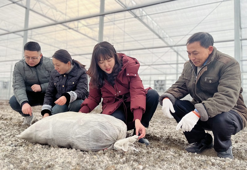 刘玲:践行代表职责,深耕乡村发展